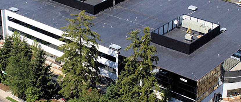 Commercial Flat Roofing Paramount